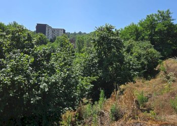 Foto 7 - Terreno agricolo Strada Provinciale 85, Altavilla Irpina - foto 7