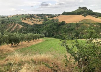 Foto 2 - Terreno agricolo Via Roma S. Mauro, Bellante - foto 2
