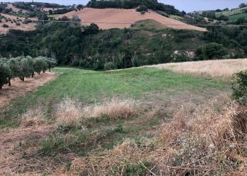 Foto 3 - Terreno agricolo Via Roma S. Mauro, Bellante - foto 3