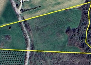 Foto 5 - Terreno agricolo Via Roma S. Mauro, Bellante - foto 5