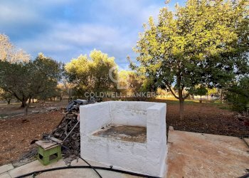 Foto 12 - Baita Contrada Favone
 
snc, San Vito dei Normanni - photo 12