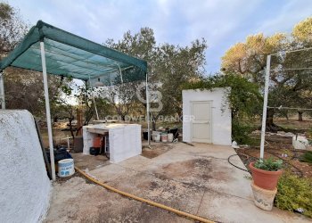 Foto 15 - Baita Contrada Favone
 
snc, San Vito dei Normanni - photo 15