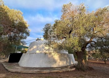 Foto 18 - Baita Contrada Favone
 
snc, San Vito dei Normanni - photo 18