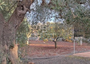 Foto 20 - Baita Contrada Favone
 
snc, San Vito dei Normanni - photo 20