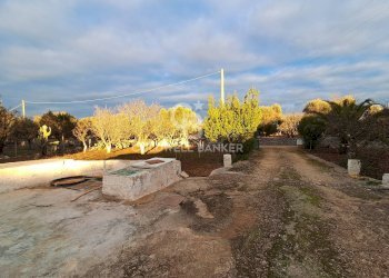 Foto 22 - Baita Contrada Favone
 
snc, San Vito dei Normanni - photo 22