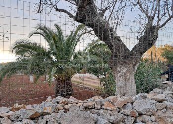 Foto 24 - Baita Contrada Favone
 
snc, San Vito dei Normanni - photo 24