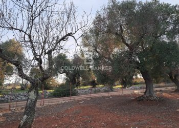 Foto 27 - Baita Contrada Favone
 
snc, San Vito dei Normanni - photo 27