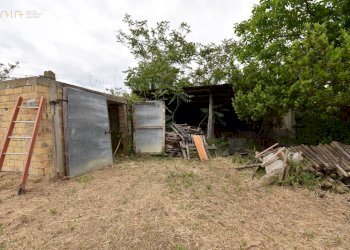 Foto 5 - Rustico Contrada Gozzana
 
10, Ripatransone - foto 5