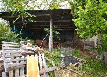 Foto 7 - Rustico Contrada Gozzana
 
10, Ripatransone - foto 7