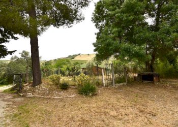 Foto 11 - Rustico Contrada Gozzana
 
10, Ripatransone - foto 11