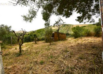 Foto 12 - Rustico Contrada Gozzana
 
10, Ripatransone - foto 12