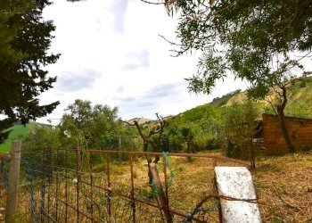 Foto 13 - Rustico Contrada Gozzana
 
10, Ripatransone - foto 13