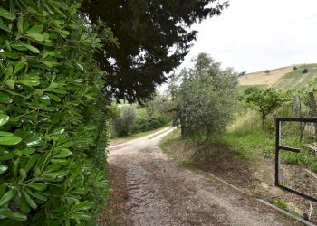 Foto 28 - Rustico Contrada Gozzana
 
10, Ripatransone - foto 28