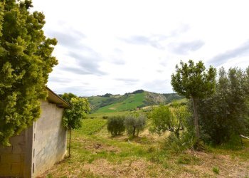 Foto 30 - Rustico Contrada Gozzana
 
10, Ripatransone - foto 30