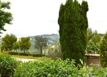 Foto 35 - Rustico Contrada Gozzana
 
10, Ripatransone - foto 35