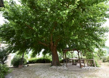 Foto 43 - Rustico Contrada Gozzana
 
10, Ripatransone - foto 43