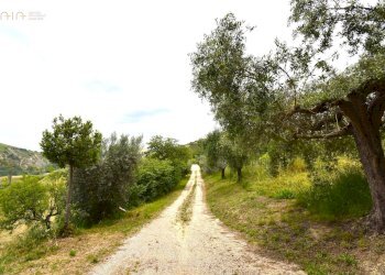 Foto 46 - Rustico Contrada Gozzana
 
10, Ripatransone - foto 46