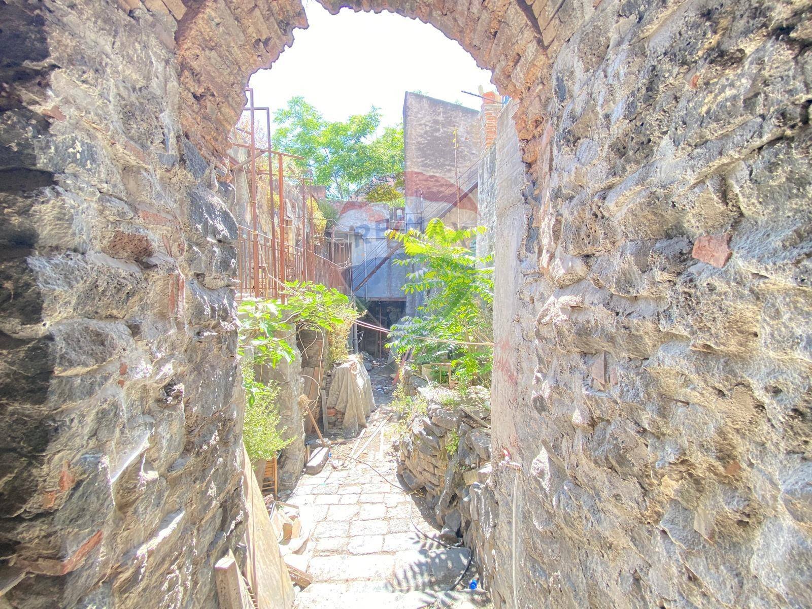 Giardino - Casa indipendente Via Pozzo Rotondo
 
49, Catania - foto 3