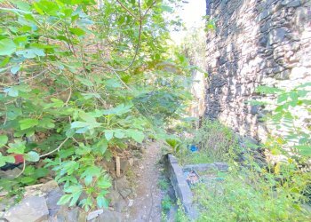 Giardino - Casa indipendente Via Pozzo Rotondo
 
49, Catania - foto 17