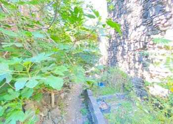 Giardino - Casa indipendente Via Pozzo Rotondo
 
49, Catania - foto 18