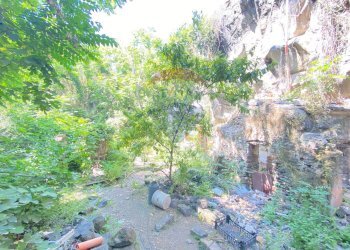 Giardino - Casa indipendente Via Pozzo Rotondo
 
49, Catania - foto 19