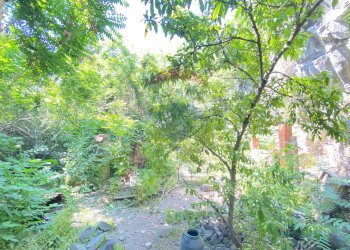 Giardino - Casa indipendente Via Pozzo Rotondo
 
49, Catania - foto 20