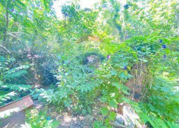 Giardino - Casa indipendente Via Pozzo Rotondo
 
49, Catania - foto 21