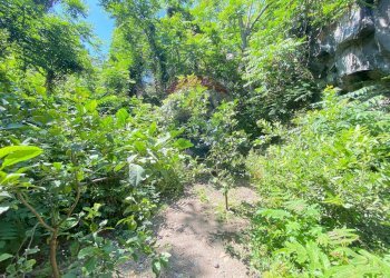 Giardino - Casa indipendente Via Pozzo Rotondo
 
49, Catania - foto 22