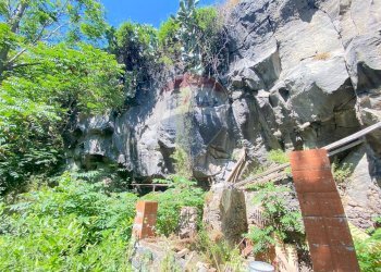 Giardino - Casa indipendente Via Pozzo Rotondo
 
49, Catania - foto 23