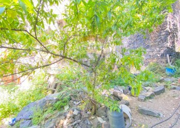 Giardino - Casa indipendente Via Pozzo Rotondo
 
49, Catania - foto 26