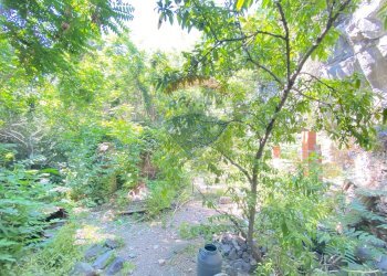 Giardino - Casa indipendente Via Pozzo Rotondo
 
49, Catania - foto 28