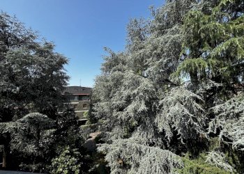 Foto 10 - Monolocale via Stanislao Mancini
 
4, Milano - foto 10