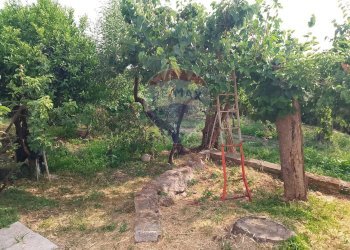 Giardino - Villa via marini
 
12, Sessa Aurunca - foto 4