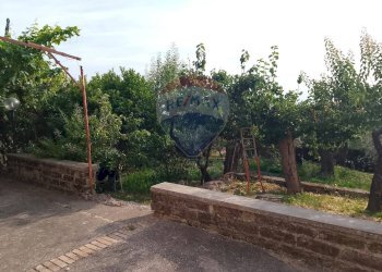 Giardino - Villa via marini
 
12, Sessa Aurunca - foto 6