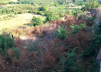 Vista delle montagne - Independent house via scansati
 
17, Sessa Aurunca - photo 7