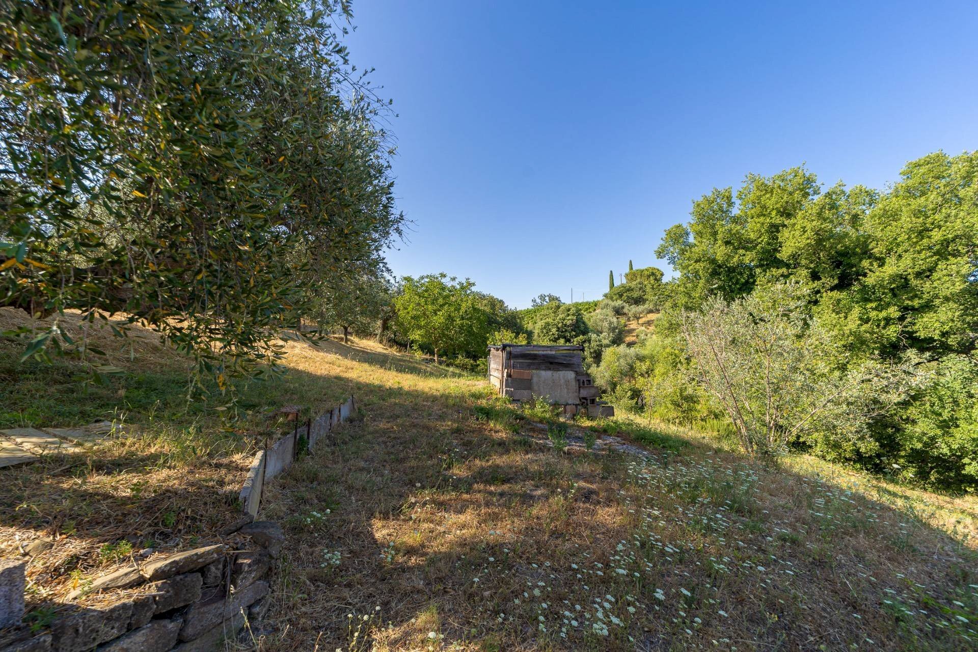 Foto 3 - Casa indipendente via garibaldi
 
19, Magliano in Toscana - foto 3