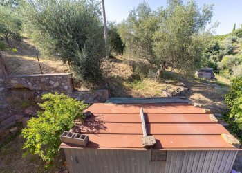 Foto 22 - Casa indipendente via garibaldi
 
19, Magliano in Toscana - foto 22