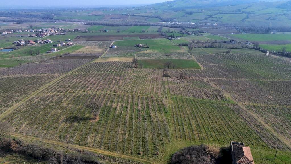 Terreno - Terreno agricolo Piacenza - foto 1