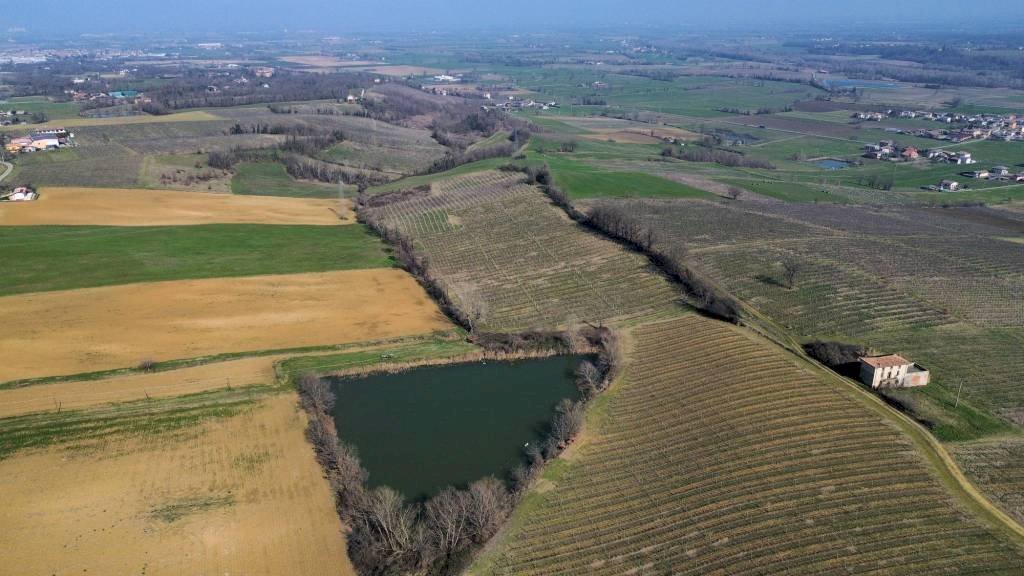Terreno - Terreno agricolo Piacenza - foto 2