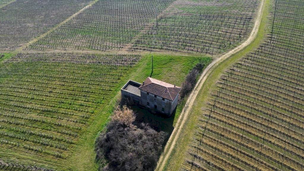 Terreno - Terreno agricolo Piacenza - foto 3