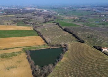 Terreno - Terreno agricolo Piacenza - foto 2