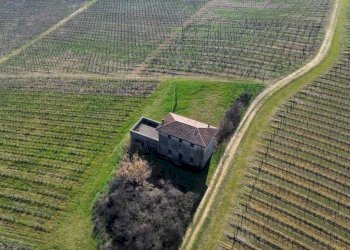 Terreno - Terreno agricolo Piacenza - foto 3