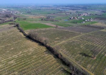 Terreno - Terreno agricolo Piacenza - foto 4