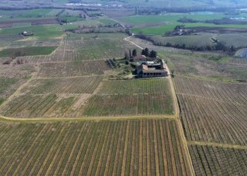 Terreno - Terreno agricolo Piacenza - foto 5