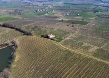 Terreno - Terreno agricolo Piacenza - foto 6