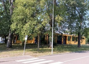 Giardino - Negozio via Giuseppe Di Vittorio, Castel Maggiore - foto 35