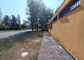 Giardino - Negozio via Giuseppe Di Vittorio, Castel Maggiore - foto 38