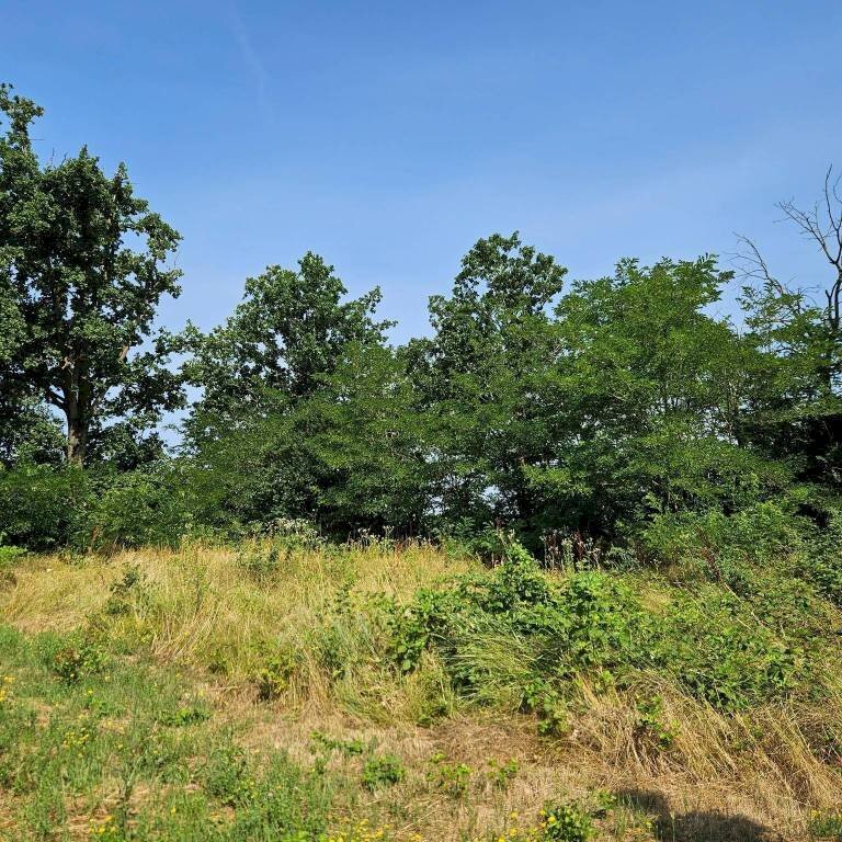 Vista - Villa strada Laverdina, Asti - foto 2