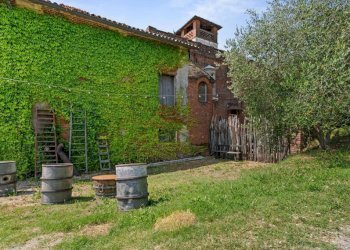 Giardino - Villa via Godio, Castelletto Merli - foto 28