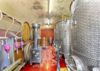 Cantina - Villa via Godio, Castelletto Merli - foto 31